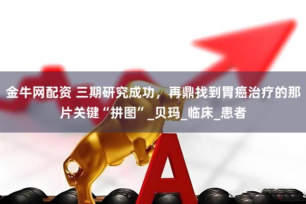 金牛网配资 三期研究成功，再鼎找到胃癌治疗的那片关键“拼图”_贝玛_临床_患者