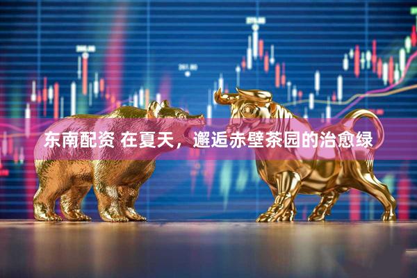 东南配资 在夏天，邂逅赤壁茶园的治愈绿