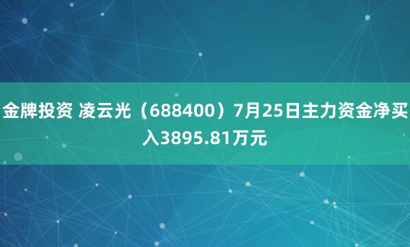 金牌投资 凌云光（688400）7月25日主力资金净买入3895.81万元