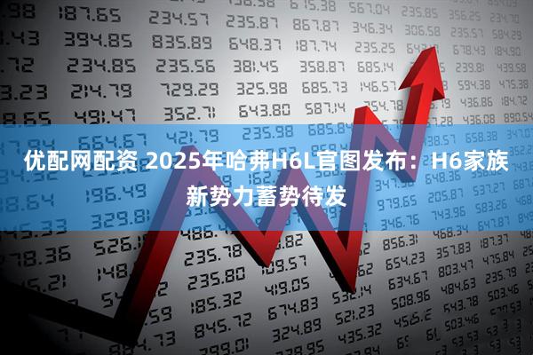 优配网配资 2025年哈弗H6L官图发布：H6家族新势力蓄势待发