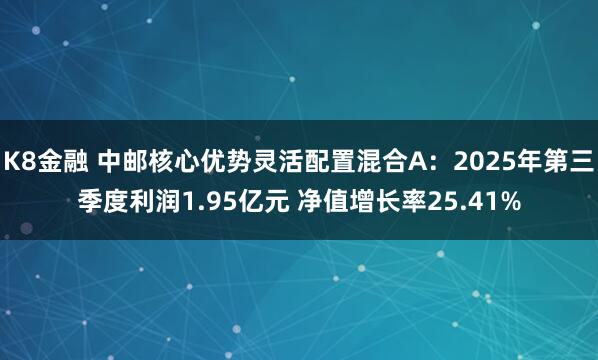 K8金融 中邮核心优势灵活配置混合A：2025年第三季度利润1.95亿元 净值增长率25.41%