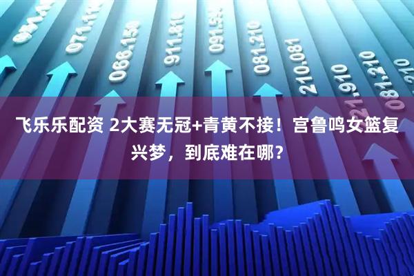 飞乐乐配资 2大赛无冠+青黄不接！宫鲁鸣女篮复兴梦，到底难在哪？